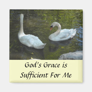 Swans Inspirational Message Magnet