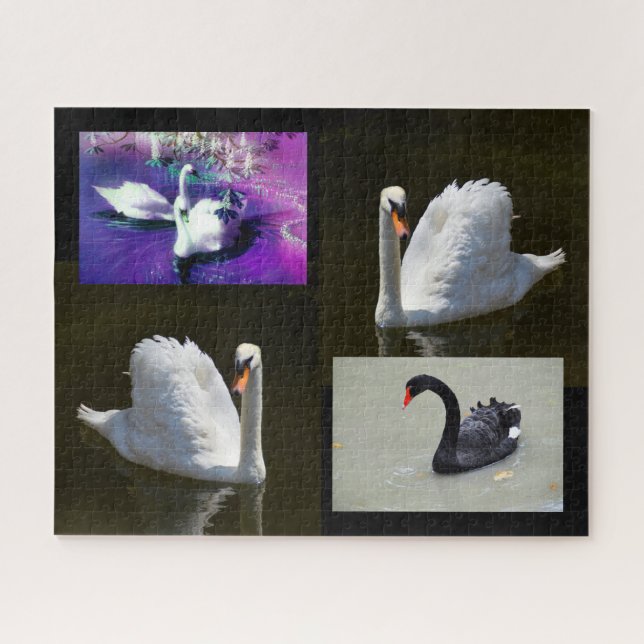 Swans Jigsaw Puzzle (Horizontal)