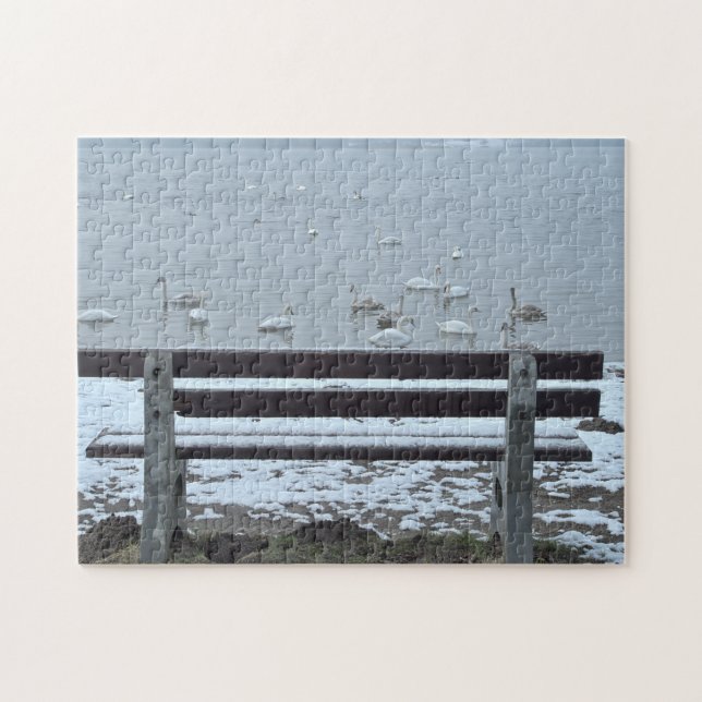 Swans, lake and a bench - puzzle (Horizontal)