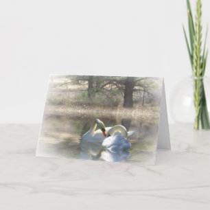 Swans Merry Christmas Card