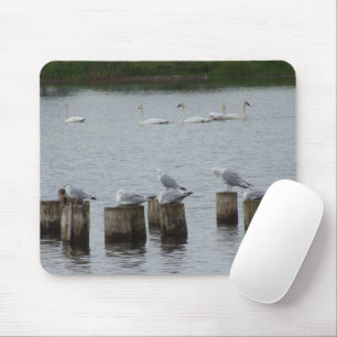 Swans n Seagulls Mouse Pad