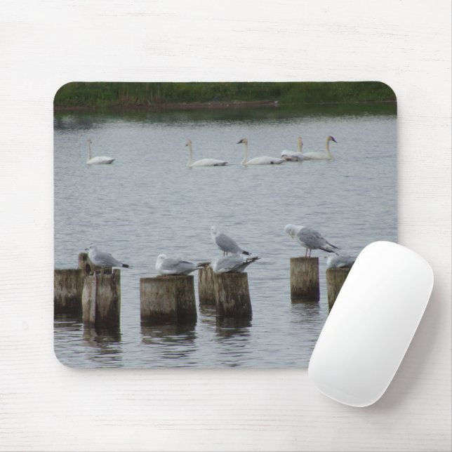 Swans n Seagulls Mouse Pad (With Mouse)