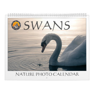 Swans Nature Photos 2025 Calendar