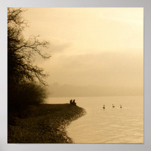 Swans on a Lake Poster