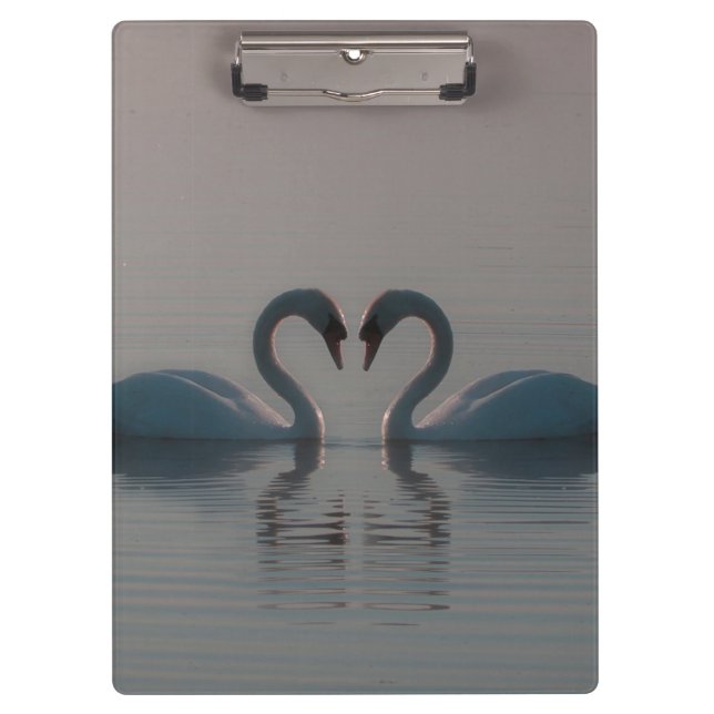  Swans on Lake Clipboard (Front)