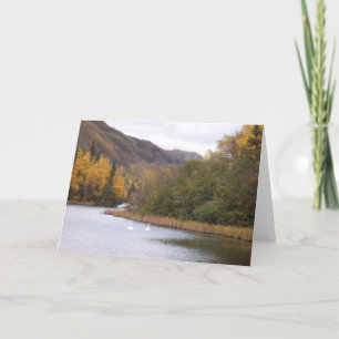 Swans on Lake in Alaska Greeting Card