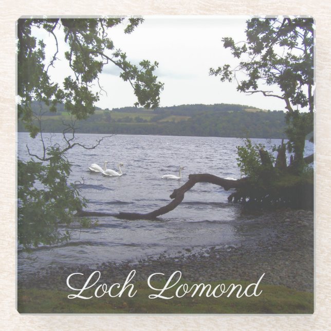 Swans on Loch Lomond Glass Coaster (Front)