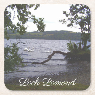 Swans on Loch Lomond Square Paper Coaster