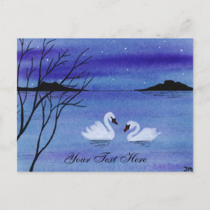 Swans Postcard