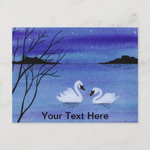Swans Postcard