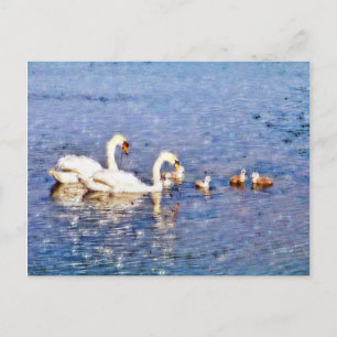 SWANS POSTCARD