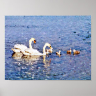 SWANS POSTER