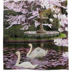 Swans Shower Curtain