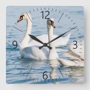 Swans Square Wall Clock