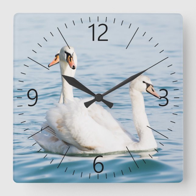 swans square wall clock (Front)