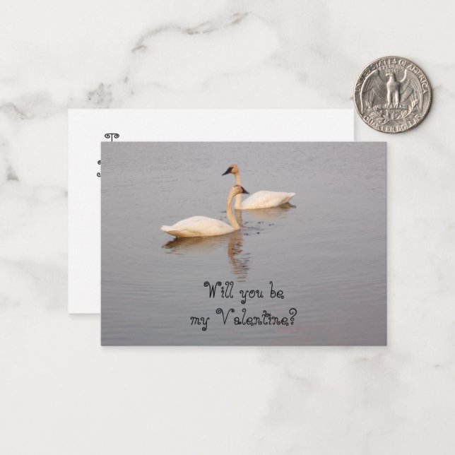Swans Valentine Cards (Front/Back In Situ)