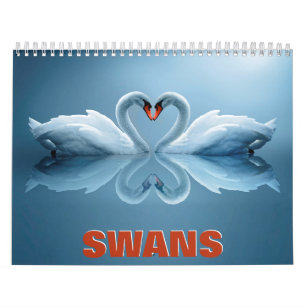 Swans Wall Calendar