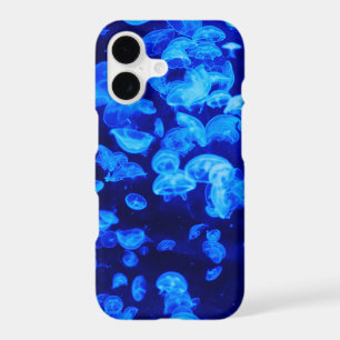 Swarm of Jellyfish