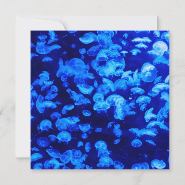 Swarm of Jellyfish Card (Front)