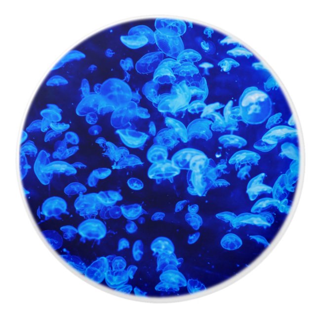 Swarm of Jellyfish Ceramic Knob (Front)