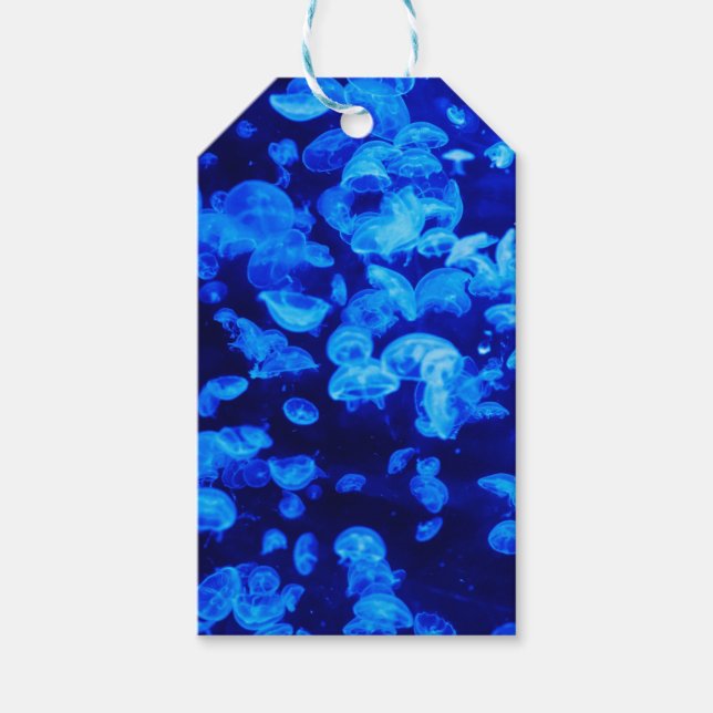 Swarm of Jellyfish Gift Tags (Front)