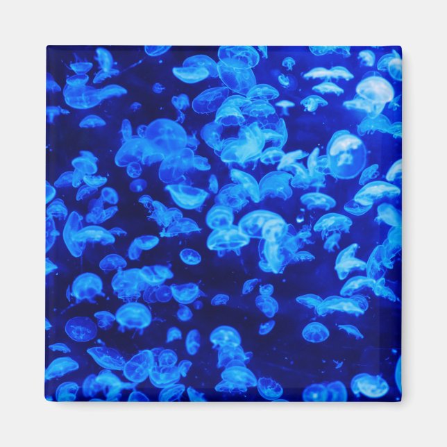 Swarm of Jellyfish Magnet (Front)