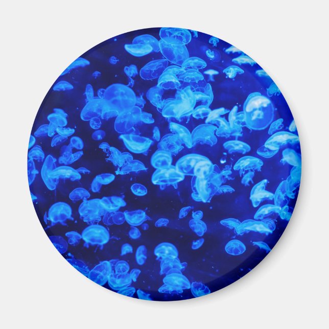 Swarm of Jellyfish Magnet (Front)