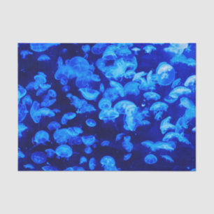 Swarm of Jellyfish Tissue Paper