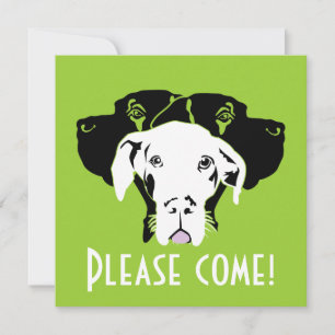 Sweat Great Dane Faces Doggenhaus Invitation