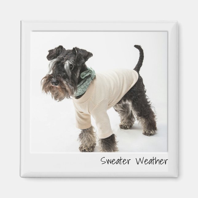 Sweater Weather Instant Camera Custom Magnet (Front)