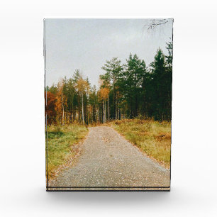 Swedish Autumnal Forest Photo Block