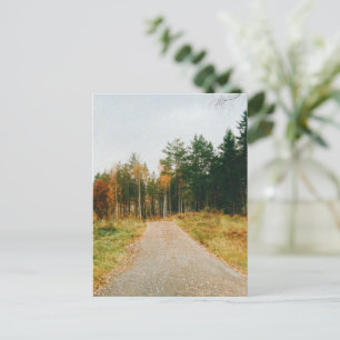 Swedish Autumnal Forest Postcard