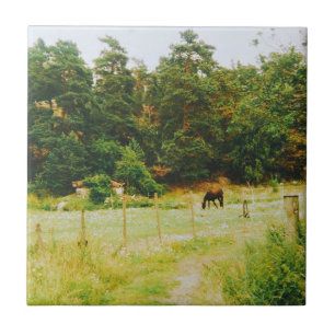 Swedish Countryside Ceramic Tile