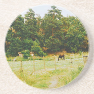 Swedish Countryside Coaster