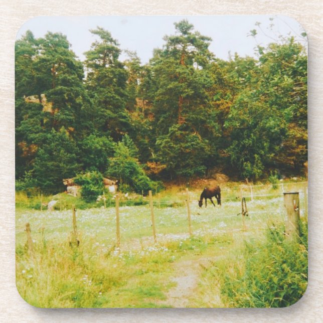Swedish Countryside Coaster (Front)