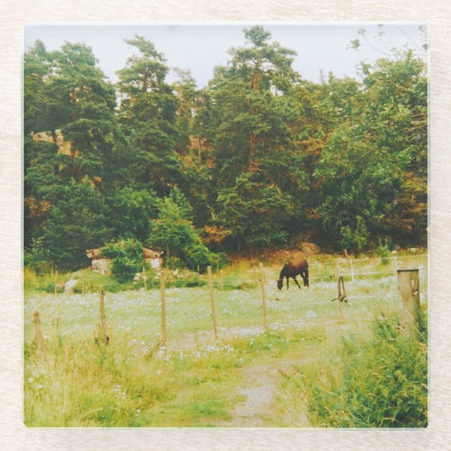 Swedish Countryside Glass Coaster (Front)