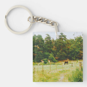 Swedish Countryside Key Ring