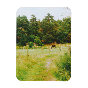 Swedish Countryside Magnet