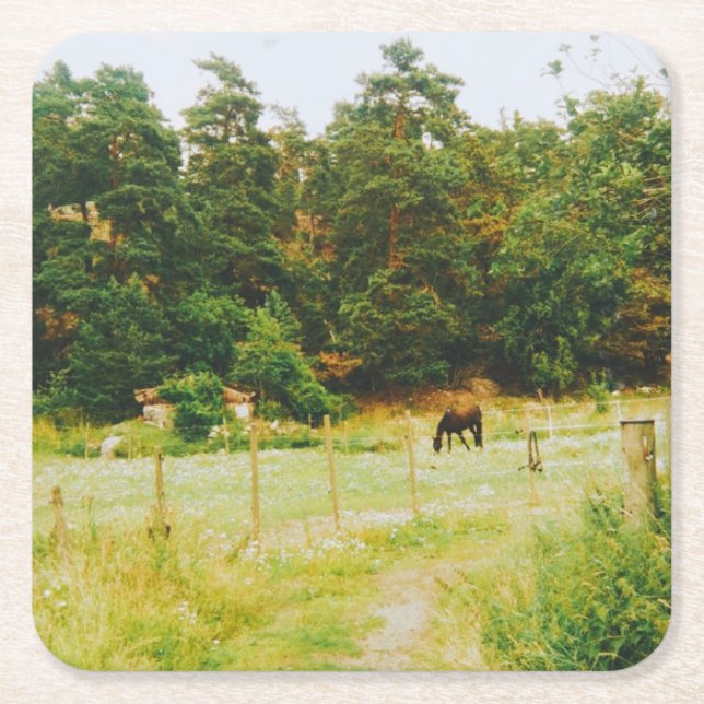 Swedish Countryside Square Paper Coaster (Front)