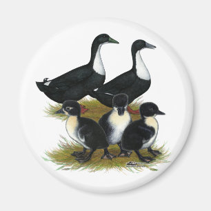 Swedish Duck Family Magnet