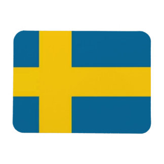 Swedish flag magnet