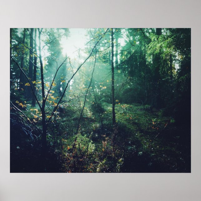 Swedish Forrest Poster (Front)