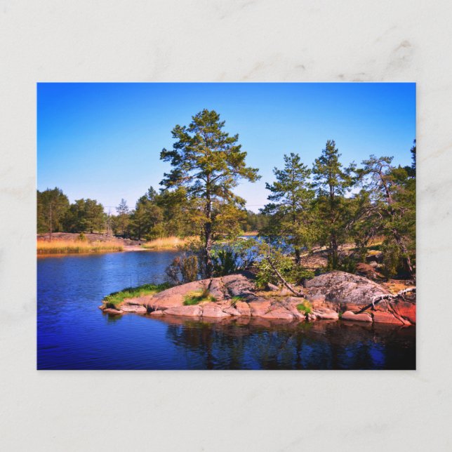 swedish  landscap, photo postcard (Front)