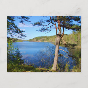 Swedish landskap postcard