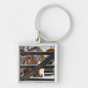 Swedish mountain cattle (Skansen) Key Ring