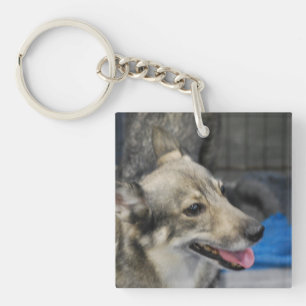swedish-vallhund-2.jpg key ring
