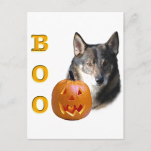 Swedish Vallhund Boo Postcard
