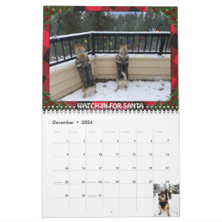 Swedish Vallhund Calendar