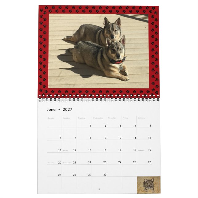 Swedish Vallhund Calendar 2024* (Jun 2027)