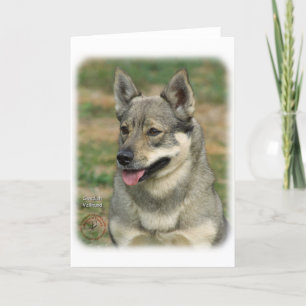 Swedish Vallhund Card